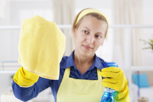 Upholstery care for different sofa fabrics in Burnt Oak