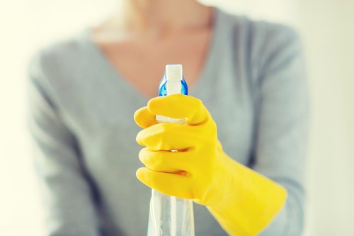 Reporting a carpet cleaning concern with service details