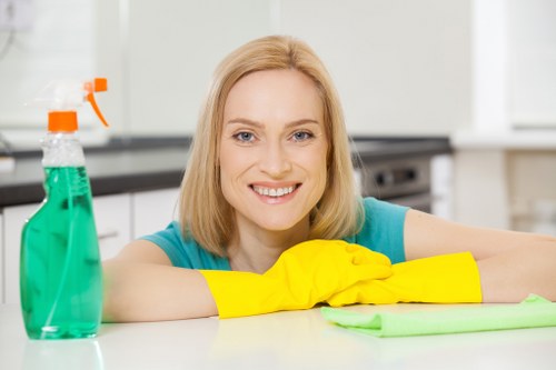 Dust and allergen removal during curtain cleaning in Burnt Oak